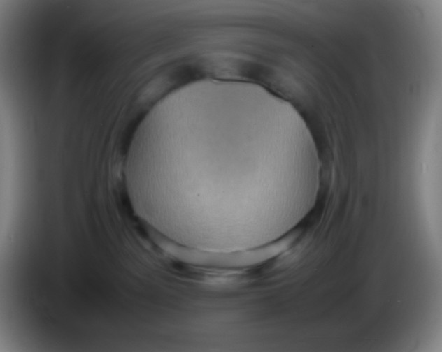 X0000085230141200703301734