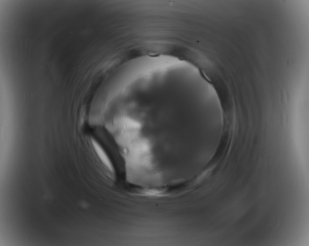 X0000085230143200703301733