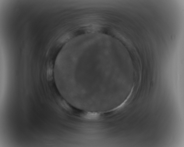 X0000085230144200703301733