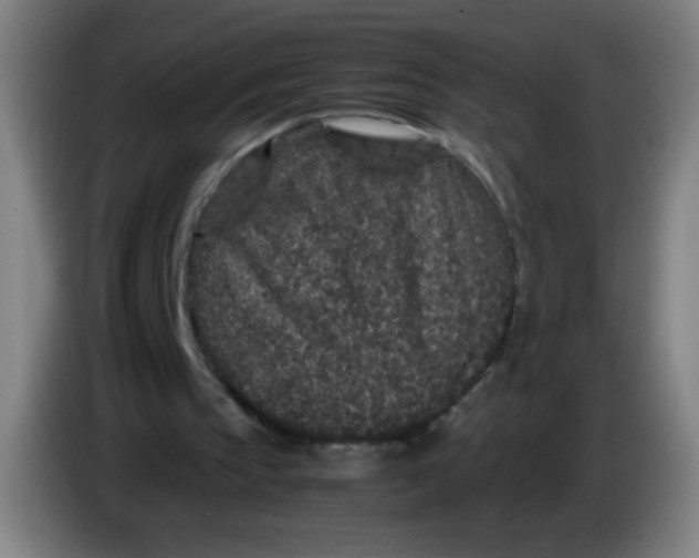 X0000085230145200703301733