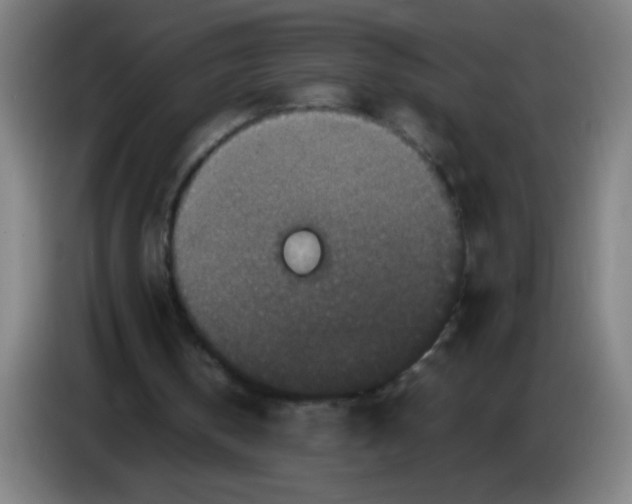 X0000085230146200703301733