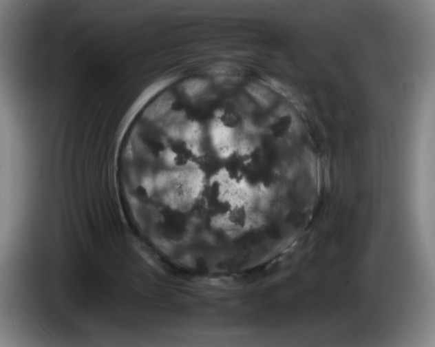 X0000085230147200703301733