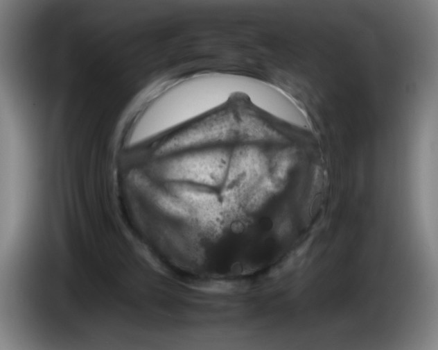 X0000085230149200703301733
