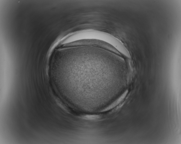 X0000085230150200703301733