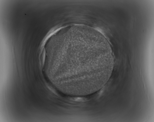 X0000085230151200703301733