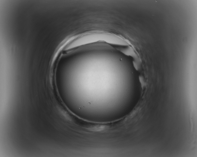 X0000085230152200703301733