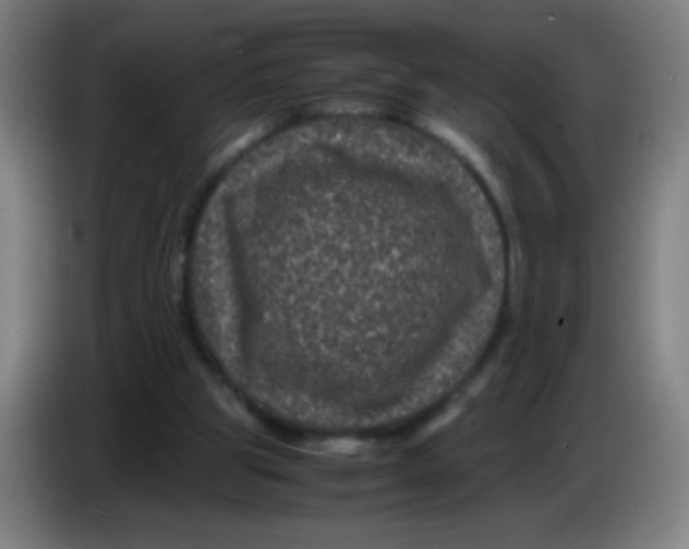 X0000085230153200703301733