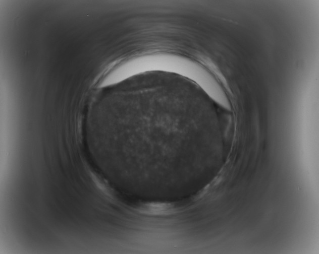 X0000085230154200703301733