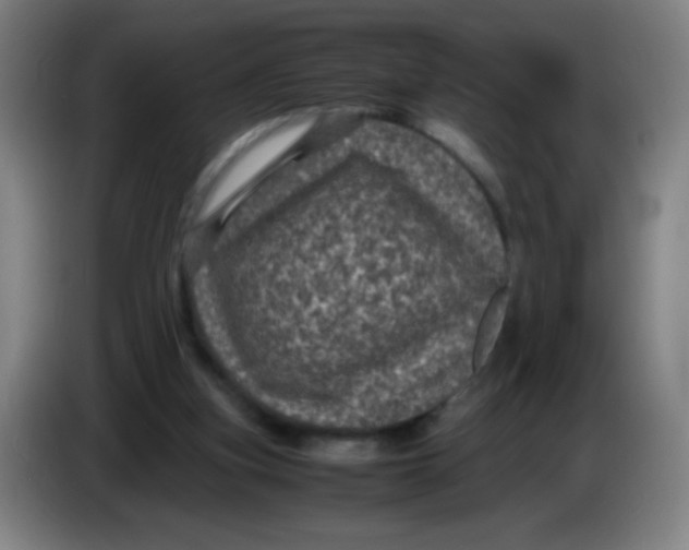 X0000085230155200703301733