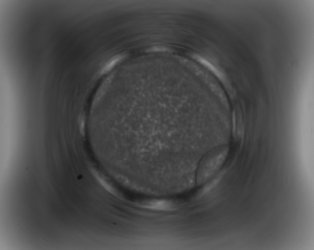 X0000085230157200703301733
