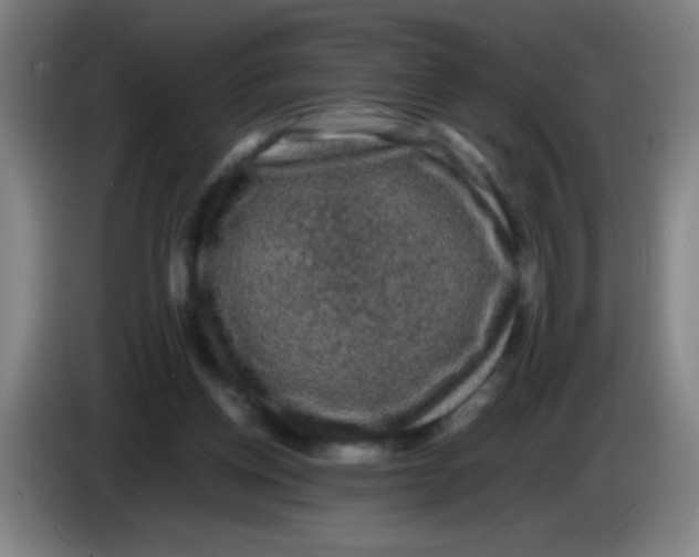 X0000085230158200703301733