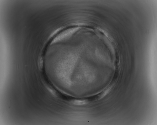 X0000085230160200703301733