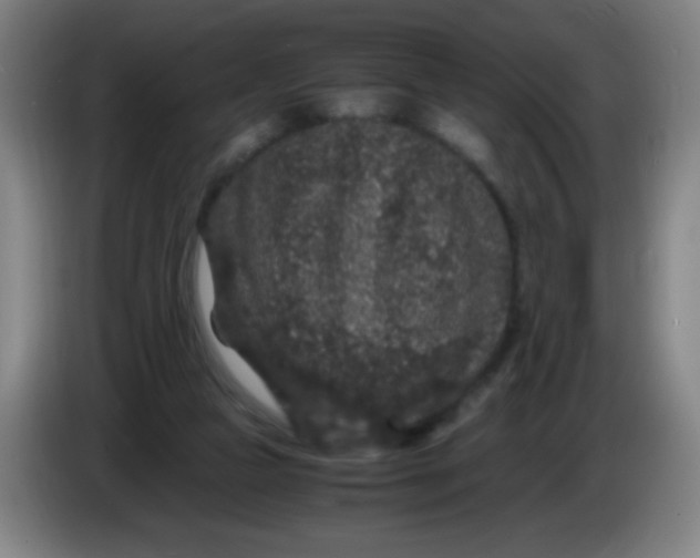 X0000085230161200703301733
