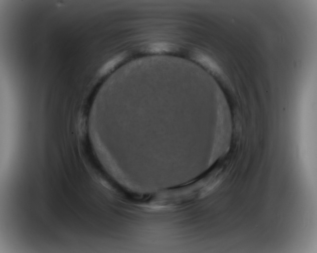 X0000085230164200703301733