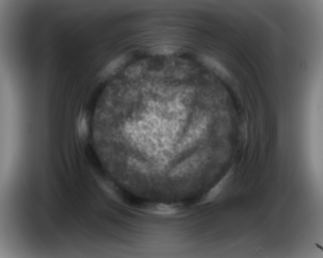 X0000085230166200703301733
