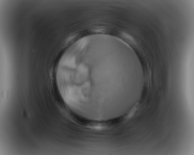 X0000085230167200703301733