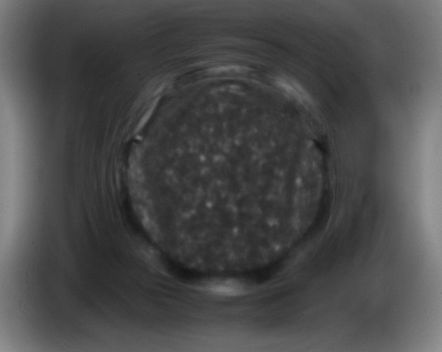 X0000085230169200703301733