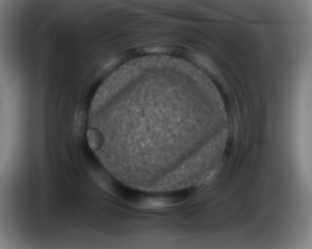 X0000085230171200703301733