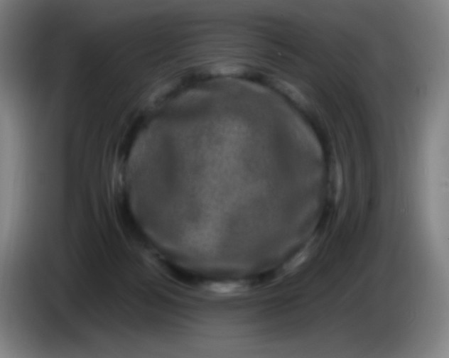 X0000085230172200703301733