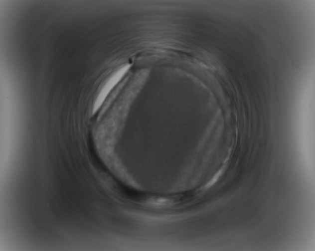 X0000085230174200703301733