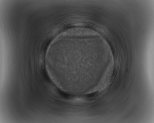 X0000085230175200703301733
