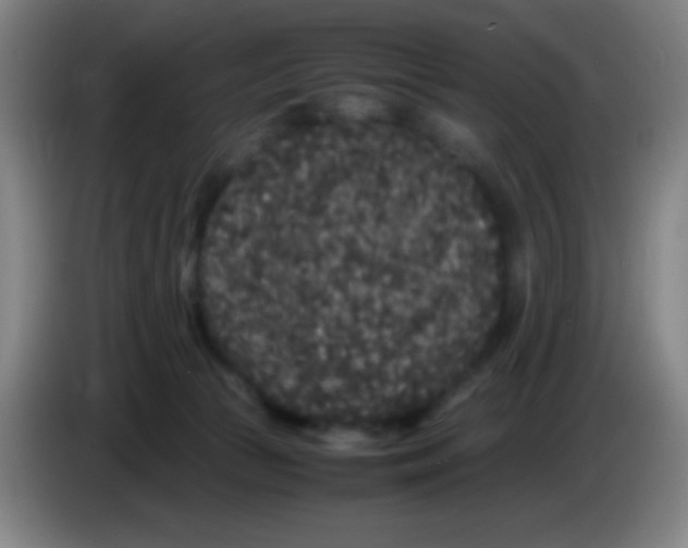 X0000085230177200703301733