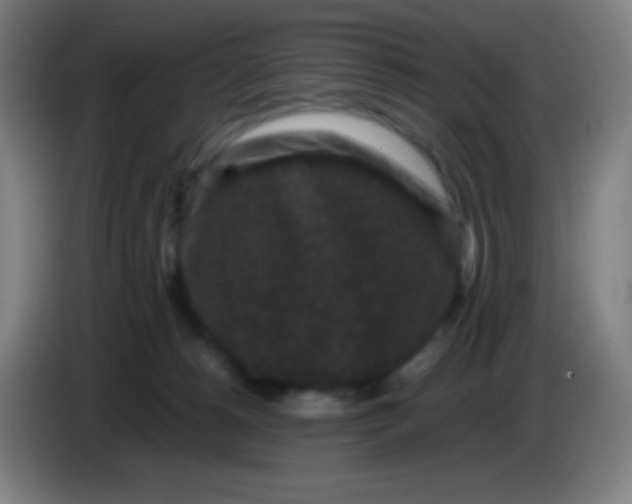 X0000085230180200703301733