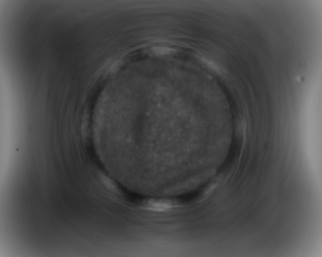 X0000085230181200703301733