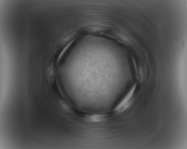 X0000085230184200703301733