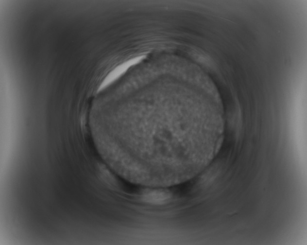 X0000085230185200703301733