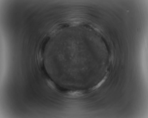 X0000085230186200703301733
