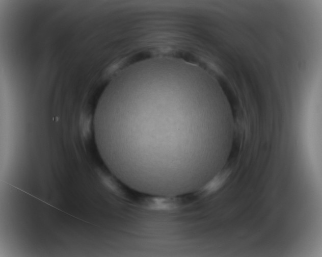 X0000085230188200703301733
