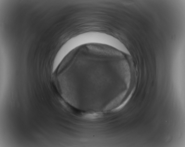 X0000085230190200703301733