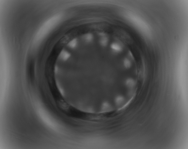 X0000085230191200703301733