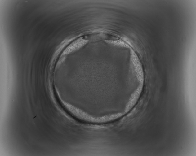 X0000085230193200703301733