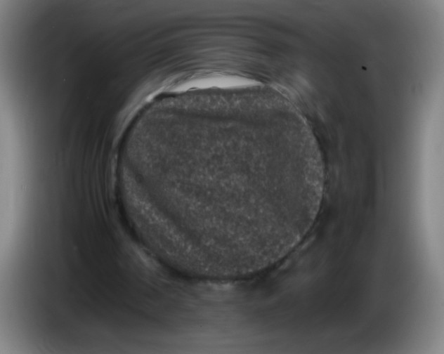X0000085230194200703301733