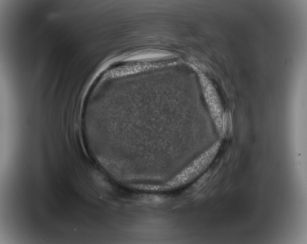 X0000085230195200703301733