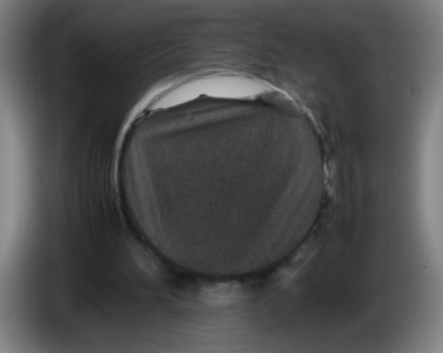 X0000085230196200703301733