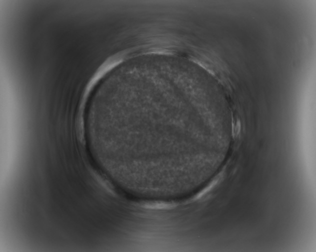 X0000085230198200703301733