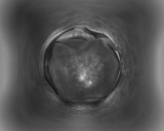 X0000085230199200703301733