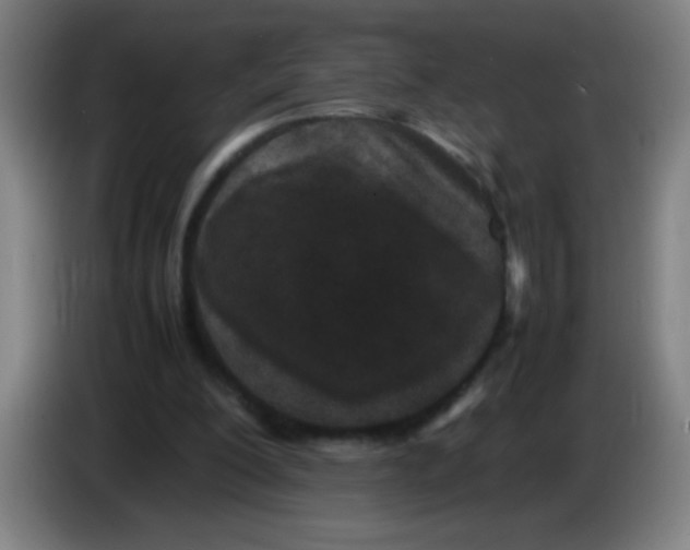 X0000085230200200703301733
