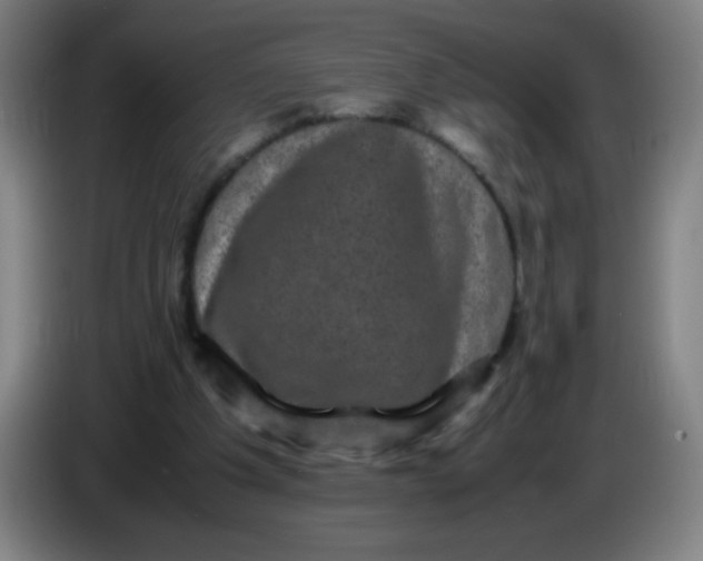 X0000085230201200703301733