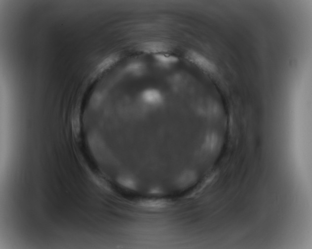 X0000085230202200703301733