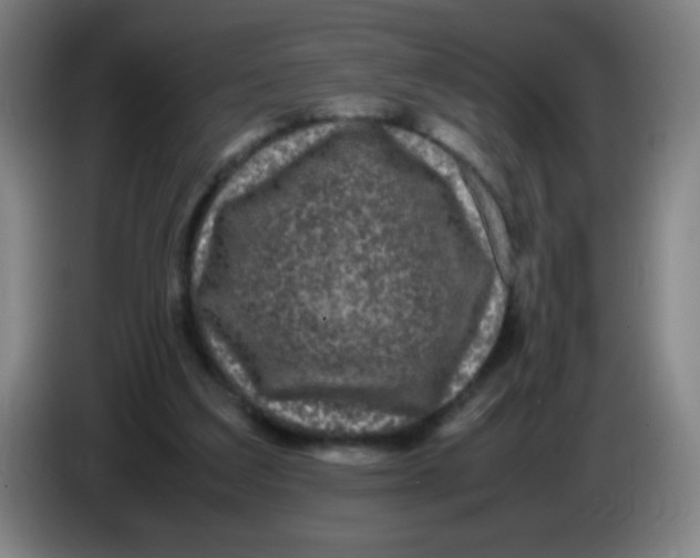 X0000085230203200703301733