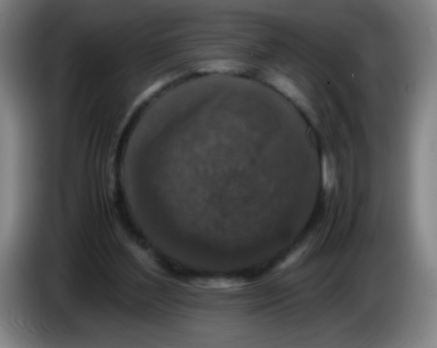 X0000085230204200703301733