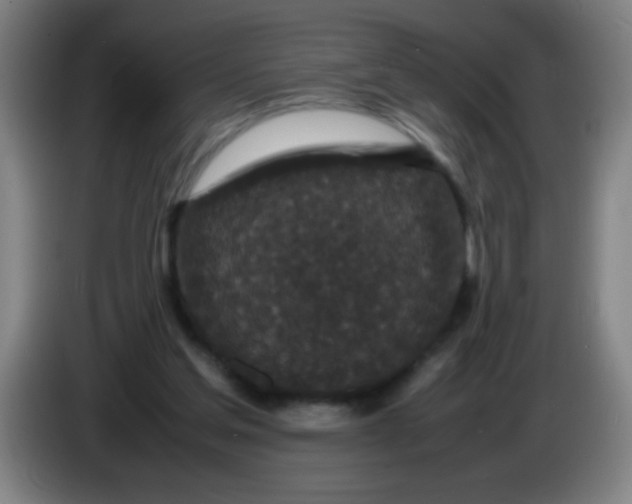 X0000085230205200703301733