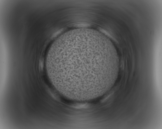 X0000085230206200703301733