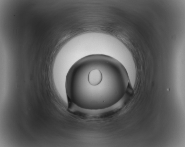 X0000085230207200703301733