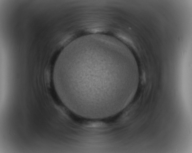 X0000085230210200703301733