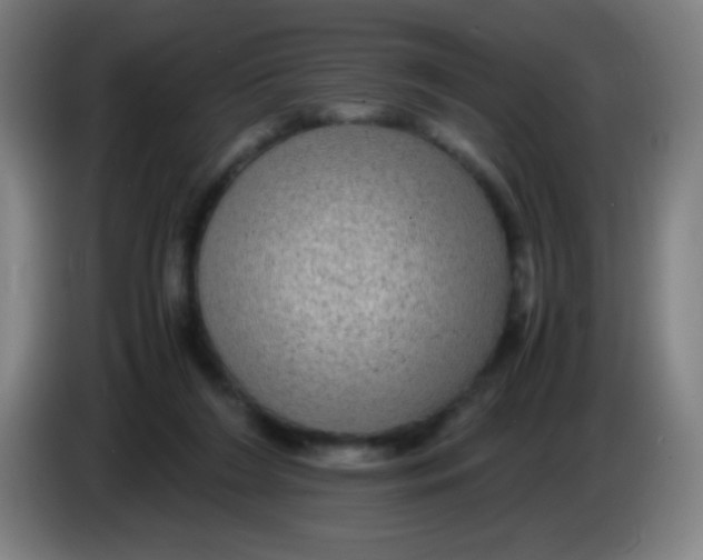 X0000085230212200703301733